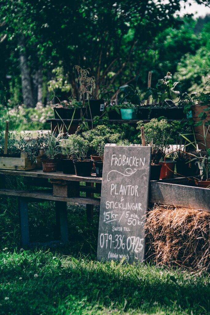 brown wooden signage near green plants during daytime