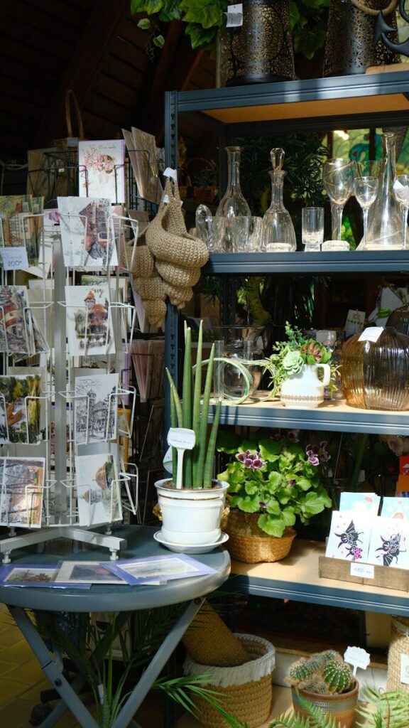 Shelves with plants, glassware, and cards for sale