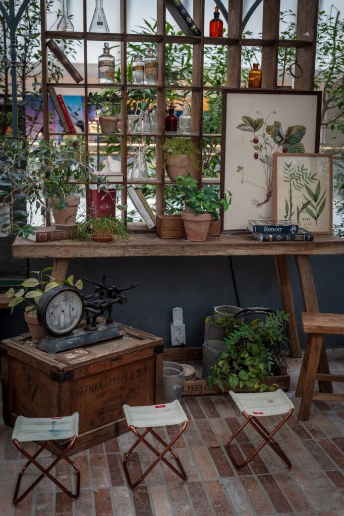 Rustic indoor garden with plants, vintage items, and wooden furniture
