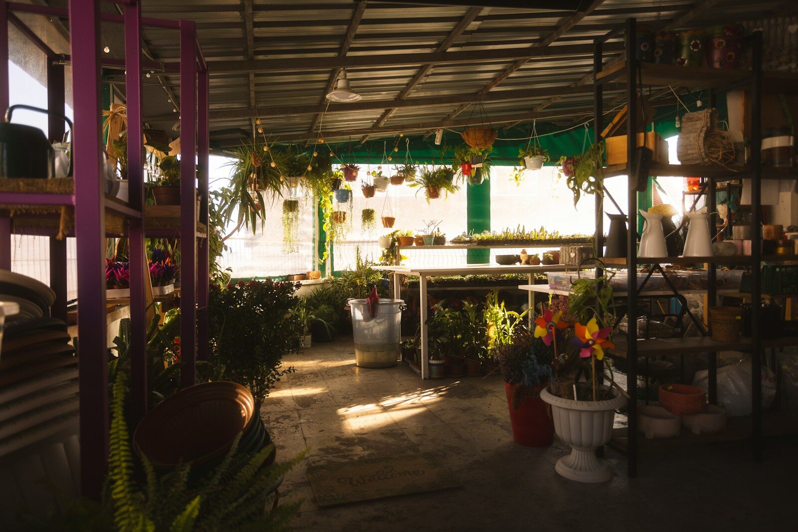 a room filled with lots of potted plants